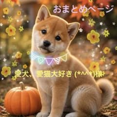 愛犬、愛猫大好き (*^^*)様 リクエスト 2点 まとめ商品 - 4