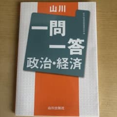 山川 一問一答 政治・経済のサムネイル