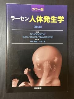 ラーセン人体発生学 カラー版のサムネイル