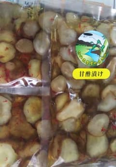 菊芋のサムネイル