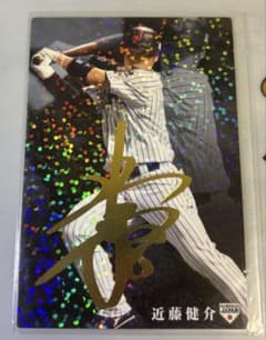 m99607459623_1.jpg?1757689796