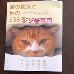 彼の彼女と私の598日のサムネイル
