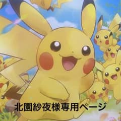 北園紗夜様、専用ページのサムネイル