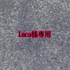 Luca様専用　テイエムオペラオー　ウィッグのサムネイル