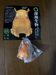深海生物 メンダコ　ネイチャーテクニックのサムネイル
