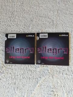 JOOLA ヨーラ allegro アレグロ 黒 MAX 中古 ラバーのサムネイル
