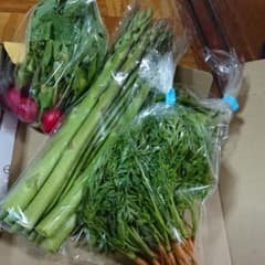 野菜セットのサムネイル