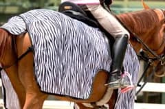 【新品未使用】乗馬用　リゲルナイト　虫よけフライシートのサムネイル