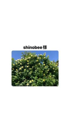 shinobee様専用出品のサムネイル