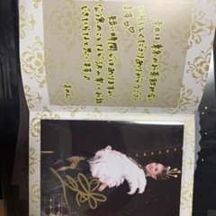 宝塚 月組 花妃舞音 お茶飲み会パンフレット 直筆サイン入り