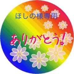 ほしの様専用              正規品レインボールーム®のサムネイル