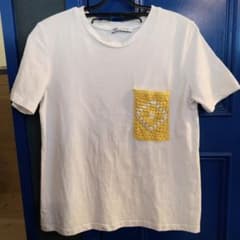 ZARA ザラ クロシェ編み ポケット Tシャツ ホワイト Sサイズ 黄色のサムネイル