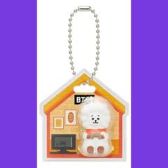 BTS BT21 패키지 매력 & 초코 보로 RJ 진
