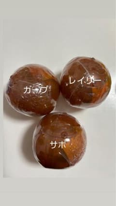 ワンピの実のサムネイル