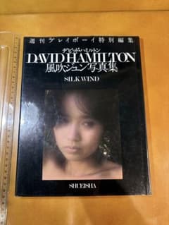 u*4様 81【当時物】風吹ジュン 写真集『絹の風』1982年 初版のサムネイル