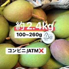 ①摘果マンゴー・グリーンマンゴー【約2.4kg(100~260g)】大きめ - メルカリ