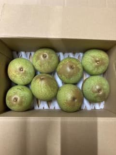 梨のサムネイル