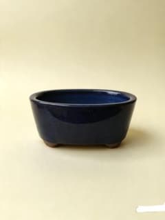 ミニ盆栽鉢 楕円 足付き 紺色 陶器 植木鉢 - メルカリ