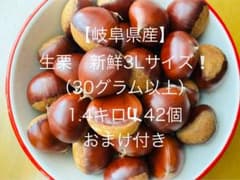 ※本日限定1セットのみ【岐阜県産】無農薬 生栗 新鮮3Lサイズ 1.4キロ以上のサムネイル
