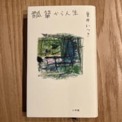 瓢箪から人生 夏井いつきのサムネイル