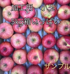 Thumbnail of 信州産サンフジ　加工用　小玉　5kg箱いっぱい