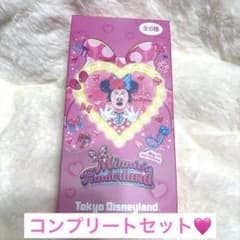 ミニーのファンダーランド　ディズニー　パルパルーザ　ワッペンアクセサリー　コンプのサムネイル
