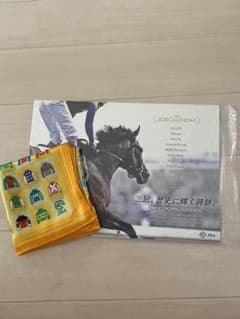 JRA★札幌競馬スカーフ・2020カレンダーのサムネイル