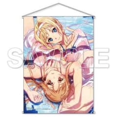 ソードアート・オンライン濡れ透けアスナ＆アリスのサムネイル