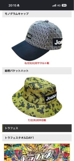 ７月２日　中日戦　甲子園のサムネイル