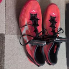 Mizuno XBlastElite3　エックスブラストエリート3　25.5cmのサムネイル