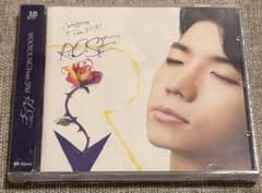 新品 2pm ウヨン ROSE CD アルバム 우영 투피엠 jyp 韓国版のサムネイル