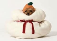 スリーコインズ　ペット用鏡餅コス／お正月