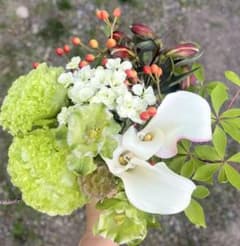 グリーンの切花セット　カラー　トルコキキョウ　生花　ネコポスのサムネイル