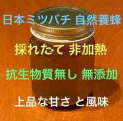 希少採れたて新鮮無添加日本ミツバチ とろとろ非加熱生はちみつ+肉球