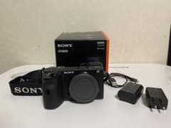 Sony a6600のサムネイル