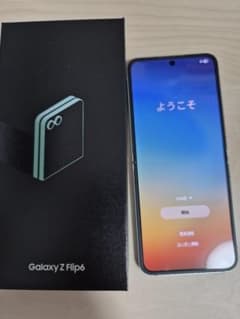 Galaxy Z Flip6 256GB ミント色 韓国版 SIMフリー - メルカリ