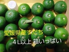 愛媛県産すだち　４L以上１kg以上のサムネイル