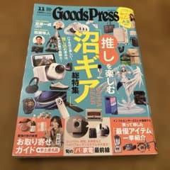 GoodsPress 2025년 11월호 늪 기어 특집