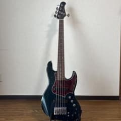 たーさん様専用】Xotic XJ-1T 5st British Green - メルカリ