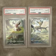 【PSA10・連番】イーブイ / リーフィア中国 AR 連番セット PSA10・連番】イーブイ / リーフィア中国 AR 連番セット - メルカリ
