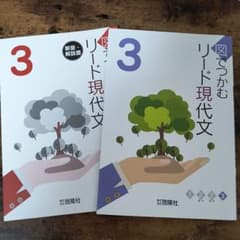 図でつかむ リード現代文 3のサムネイル