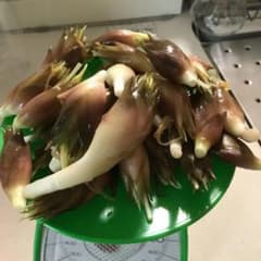 無農薬ミョウガのサムネイル