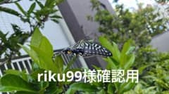 riku99様確認用写真ですのサムネイル