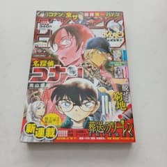 週刊少年サンデー バックナンバー 2020年 第20号～第39号 16冊セット