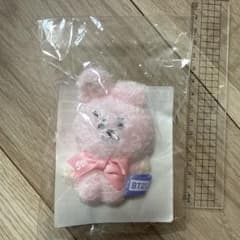 BT21 5주년 아트전 한정 봉제인형 마스코트 COOKY 국 JK
