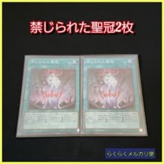 遊戯王】禁じられた聖冠(スーパー2枚) - メルカリ