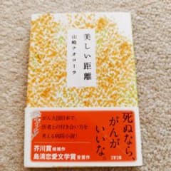 美しい距離のサムネイル
