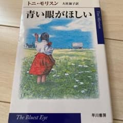あおつき様専用　青い眼がほしいのサムネイル
