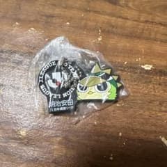 Jリーグ めじるしアクセサリー 明治安田 J1百年構想　東京ヴェルディのサムネイル