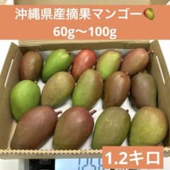 摘果マンゴー　グリーンマンゴー　加工用 沖縄県産摘果マンゴー青マンゴーグリーンマンゴー／74 - メルカリ